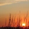 sunshineevevery